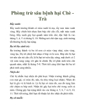 Phòng trừ sâu bệnh hại Chè Trà