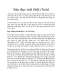 Sâu đục trái (hột) Xoài