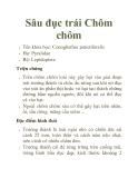 Sâu đục trái Chôm chôm