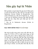 Sâu gây hại lá Nhãn