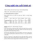 Công nghệ sản xuất bánh mì