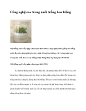 Công nghệ cao trong nuôi trồng hoa kiểng