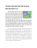 Mô hình trồng đậu bắp Nhật mang lại hiệu quả kinh tế cao