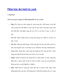 Phân bón cho bưởi da xanh