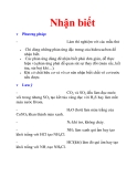 Nhận biết