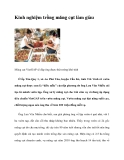 Kinh nghiệm trồng măng cụt làm giàu