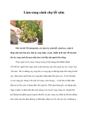 Làm sung cảnh chợ tết sớm