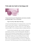 Trên một cây bưởi có hai dạng trái