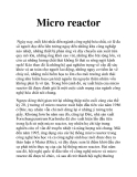 Micro reactor