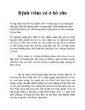 Bệnh viêm vú ở bò sữa