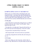 CÔNG NGHỆ CHỌN VÀ NHÂN GIỐNG CAO SU