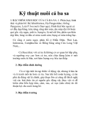 Kỹ thuật nuôi cá ba sa