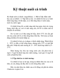 Kỹ thuật nuôi cá trình