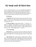 Kỹ thuật nuôi dê Bách thảo
