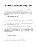 Kỹ thuật nuôi tôm càng xanh