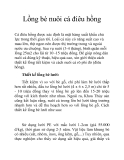 Lồng bè nuôi cá điêu hồng