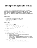 Phòng và trị bệnh cho tôm sú