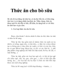 Thức ăn cho bò sữa