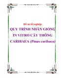 Nghiên cứu khoa học " QUY TRÌNH NHÂN GIỐNG IN VITRO CÂY THÔNG CARIBAEA (Pinus caribaea) "