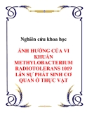 Nghiên cứu khoa học " ẢNH HƯỞNG CỦA VI KHUẨN METHYLOBACTERIUM RADIOTOLERANS 1019 LấN SỰ PHÁT SINH CƠ QUAN Ở THỰC VẬT "