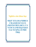 Nghiên cứu khoa học " MỌT XYLOSANDRUS CRASSIUSCULUS (MOTSCHULSKY) VÀ NẤM XANH HẠI KEO TAI TƯỢNG Ở PHÚ THỌ "