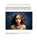 Hướng dẫn sử dụng Photoshop CS5 - Phần 13: Tạo hiệu ứng phản chiếu từ mặt nước