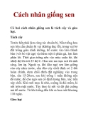 Cách nhân giống sen