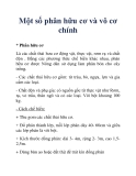 Một số phân hữu cơ và vô cơ chính