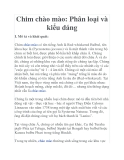 Chim chào mào: Phân loại và kiểu dáng