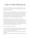 Chọn và Nuôi Chim họa mi