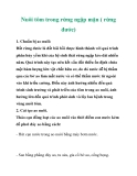Nuôi tôm trong rừng ngập mặn ( rừng đước)