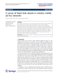 Báo cáo hóa học: " A survey of black hole attacks in wireless mobile ad hoc networks"