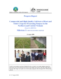 Báo cáo sự kiện: Commercial and High Quality Cultivars of Root and Tuber Crops for Processing Purpose in the Northern and Central Vietnam - (Milestone 3)