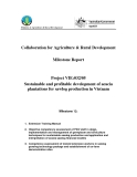 Collaboration for Agriculture & Rural Development:Sustainable and profitable development of acacia plantations for sawlog production in Vietnam - Milestone 12 "