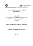 Collaboration for Agriculture & Rural Development:" Sustainable and profitable development of acacia plantations for sawlog production in Vietnam - Milestone 5 "