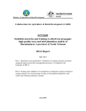 Collaboration for Agriculture & Rural Development::Establish nurseries and training to effectively propagate high quality trees and trial plantation models of Macadamia in 3 provinces of North Vietnam - MS12 "