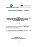 Collaboration for Agriculture & Rural Development: " Establish nurseries and training to effectively propagate high quality trees and trial plantation models of Macadamia in 3 provinces of North Vietnam - MS11 "