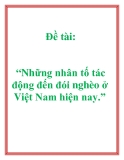 Đề tài: “Những nhân tố tác động đến đói nghèo ở Việt Nam hiện nay.”