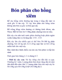 Bón phân cho hồng xiêm