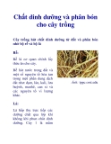 Chất dinh dưỡng và phân bón cho cây trồng