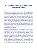 Kỹ thuật giúp hạn chế sử dụng phân bón cho cây trồng