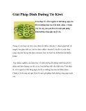 Giải Pháp Dinh Dưỡng Từ Kiwi