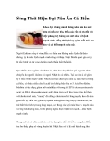 Sống Thời Hiện Đại Nên Ăn Cá Biển