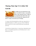 Thưởng Thức Súp Vi Cá Kiểu Thế Giới Bò