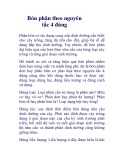 Bón phân theo nguyên tắc 4 đúng