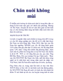 Chăn nuôi không mùi