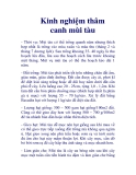 Kinh nghiệm thâm canh mùi tàu