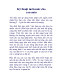 Kỹ thuật tưới nước cho rau màu