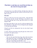 Phơi khô và cách làm cây rơm để dự trữ thức ăn cho trâu bò trong mùa lạnh