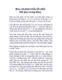 Rau cải phát triển tốt nhất khi gieo trong khay